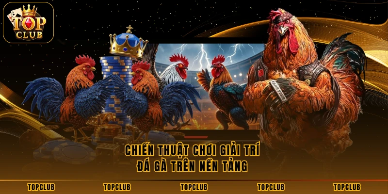 Chiến thuật chơi giải trí đá gà trên nền tảng